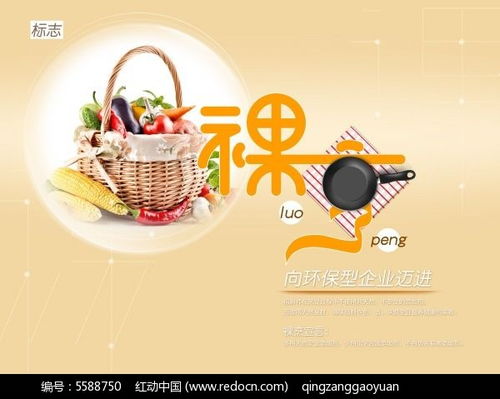 探索裸烹理念，PSD企业文化宣传素材免费下载指南——以红动网为例